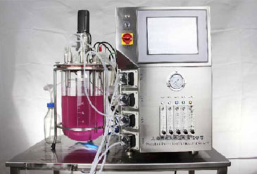 Верхнее магнитное перемешивающее устройство JL-S1OG для 15л стеклянного биореактора животных клеток
          